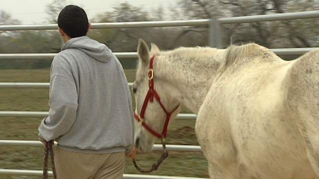 Grant funds partnership to expand equine therapy