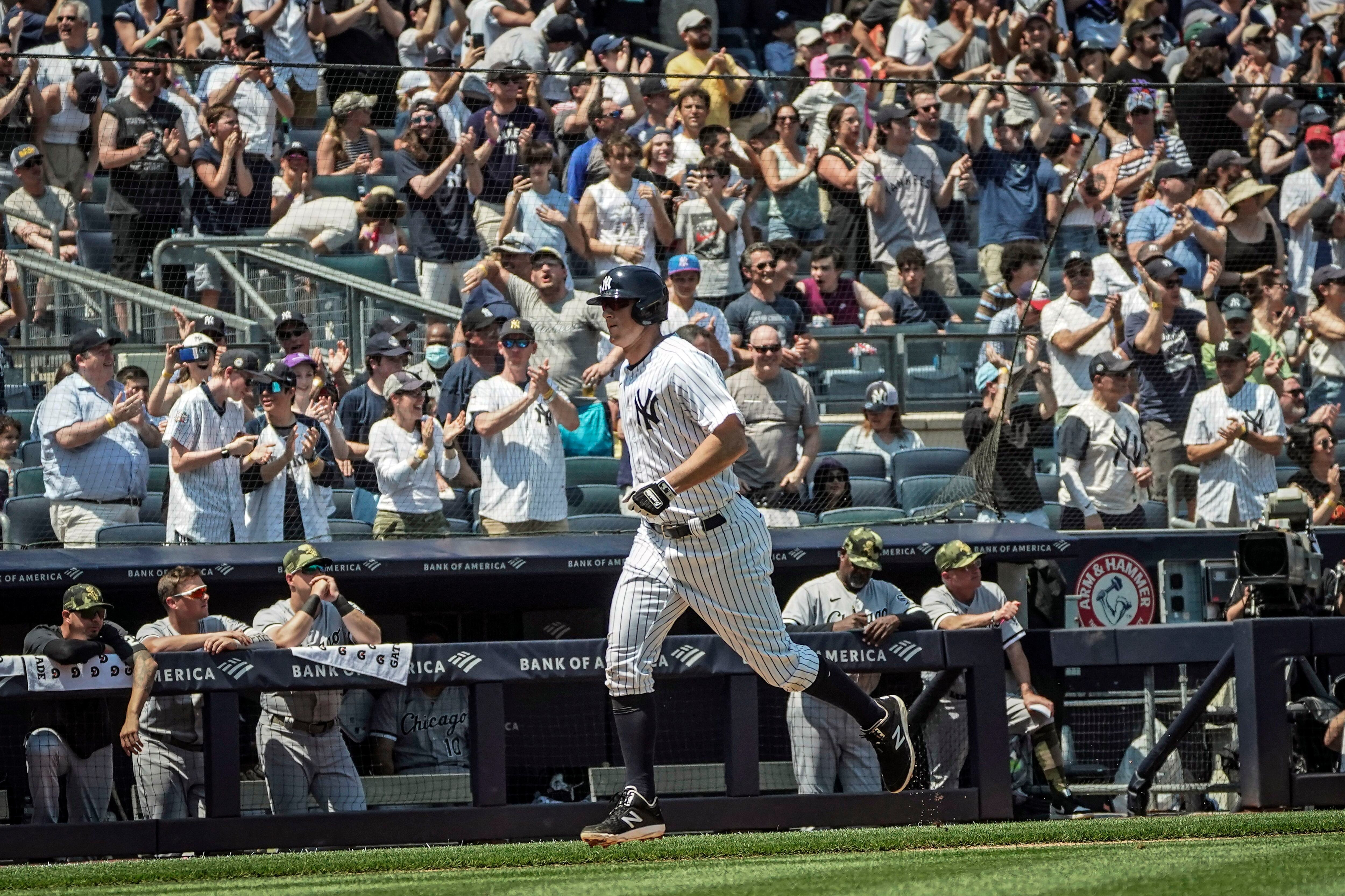 New York Yankees 3B DJ LeMahieu Scratched From Lineup Against