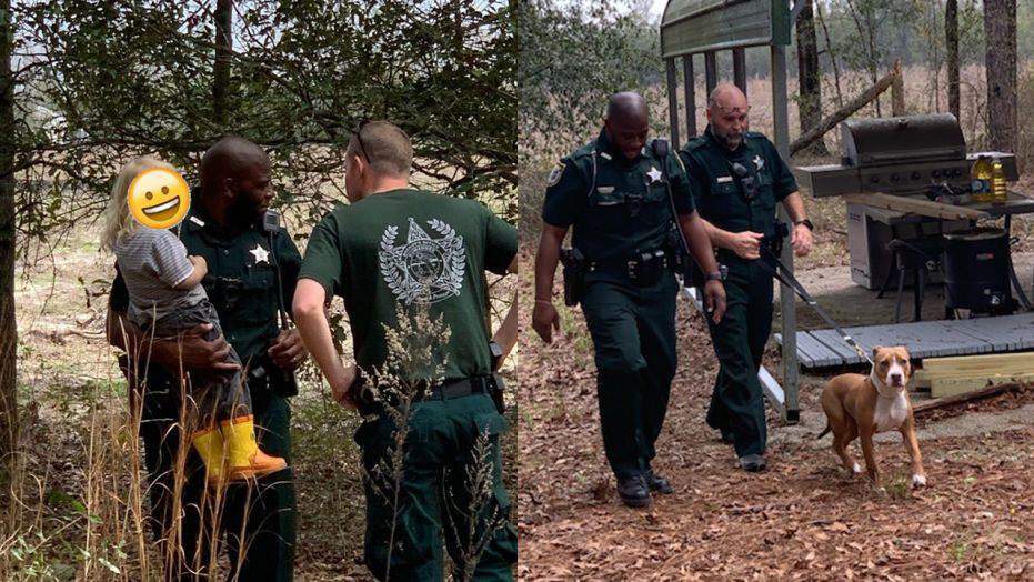 Lost toddler found while being protected by family dog in woods