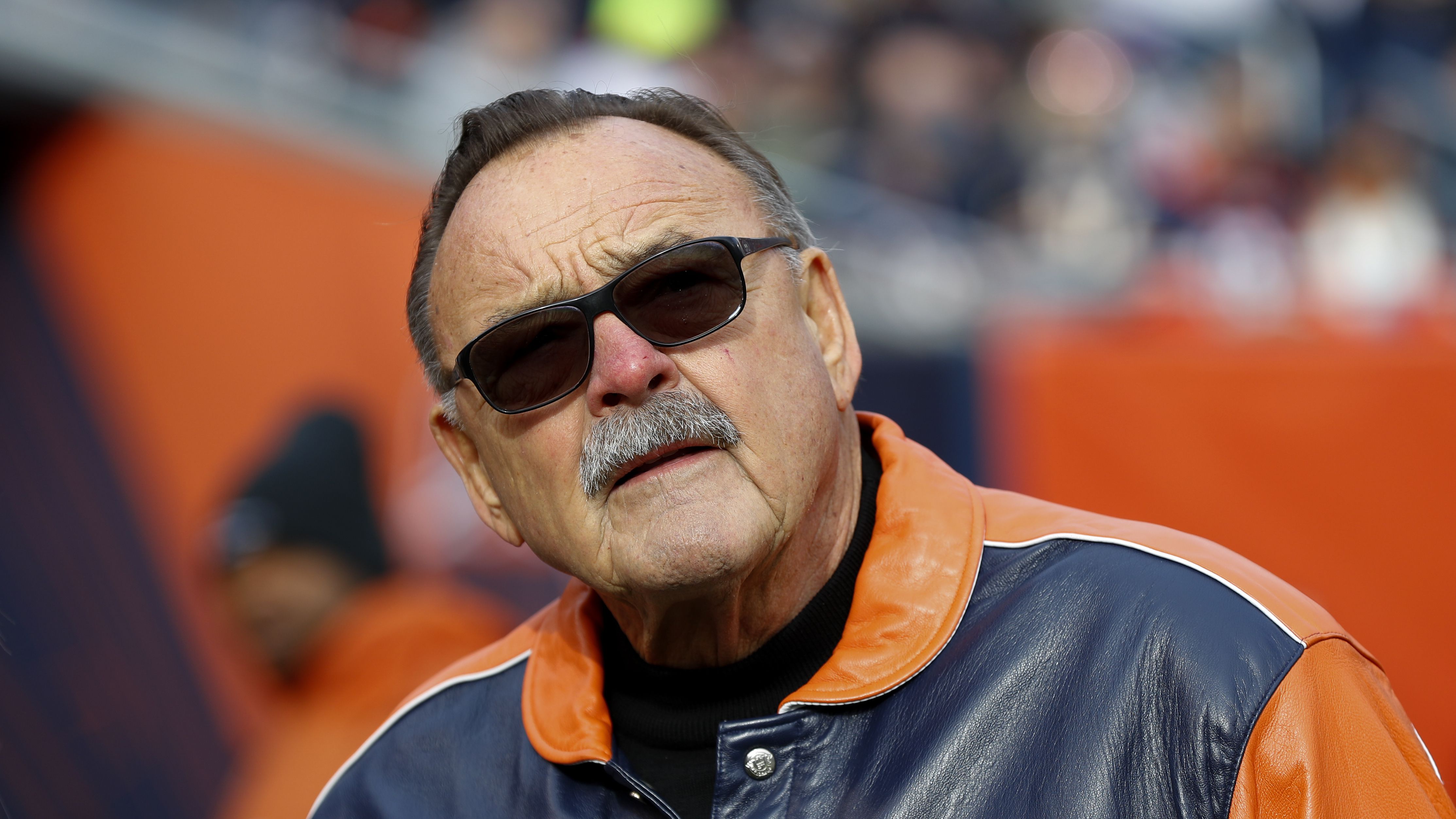 CHICAGO, IL - DECEMBER 24: A Chicago Bears fans looks on in action during a  game between