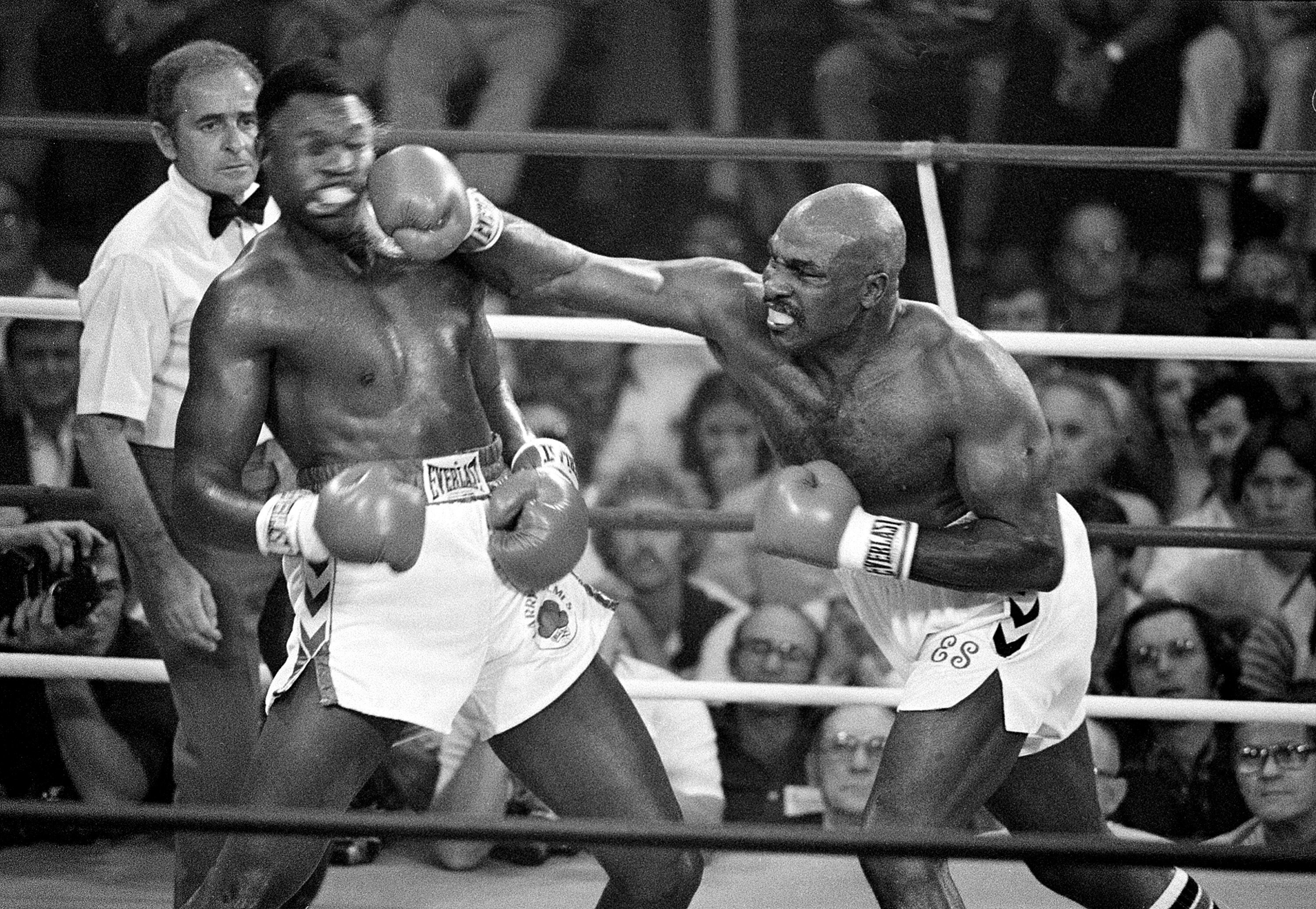 40 Years On: The Tex Cobb - Earnie Shavers War Remembered - Boxing News