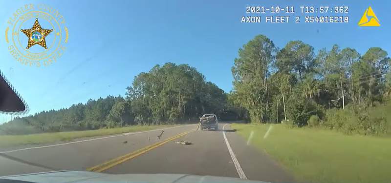 Tools thrown at deputies during ‘wild’ chase of stolen F-250, Flagler County Sheriff’s Office says