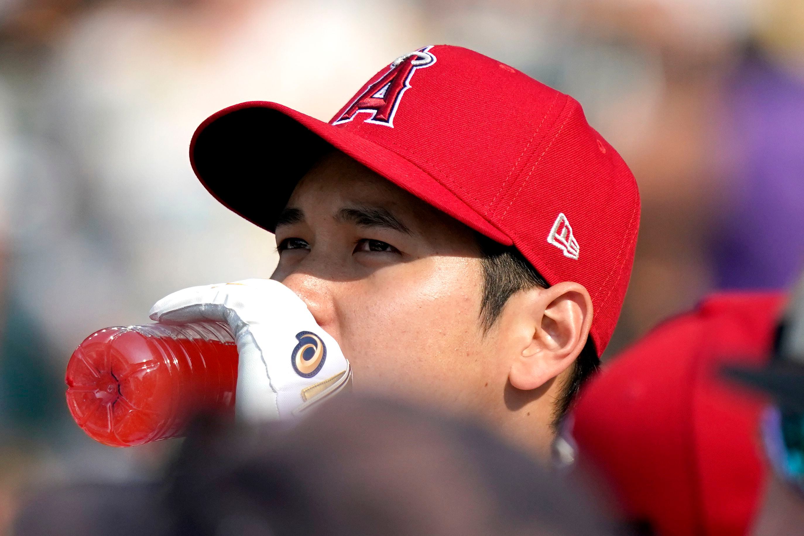 Vladimir Guerrero will be the first player to wear an Angels hat