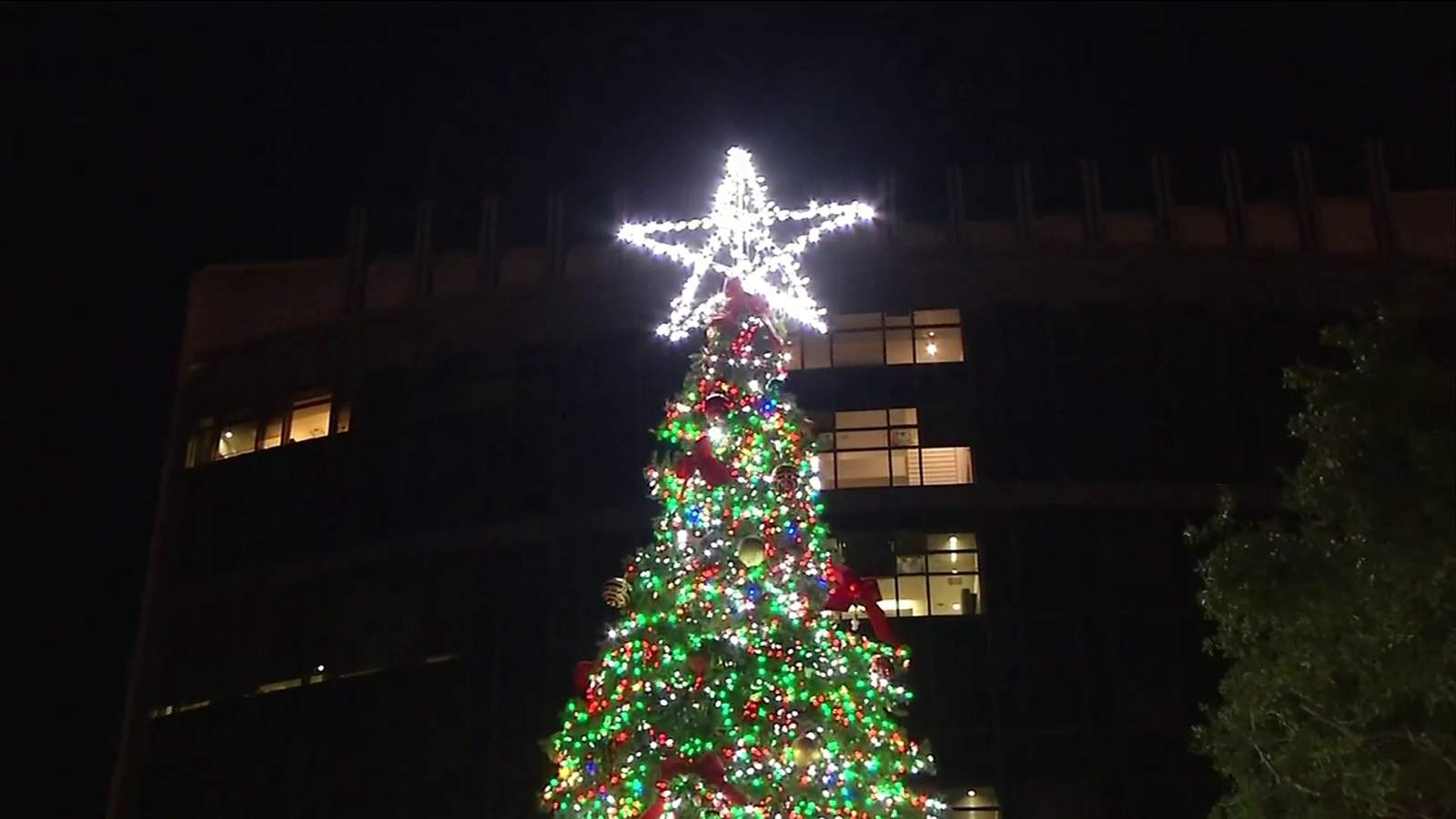 Jacksonville holds Christmas tree lighting ceremony