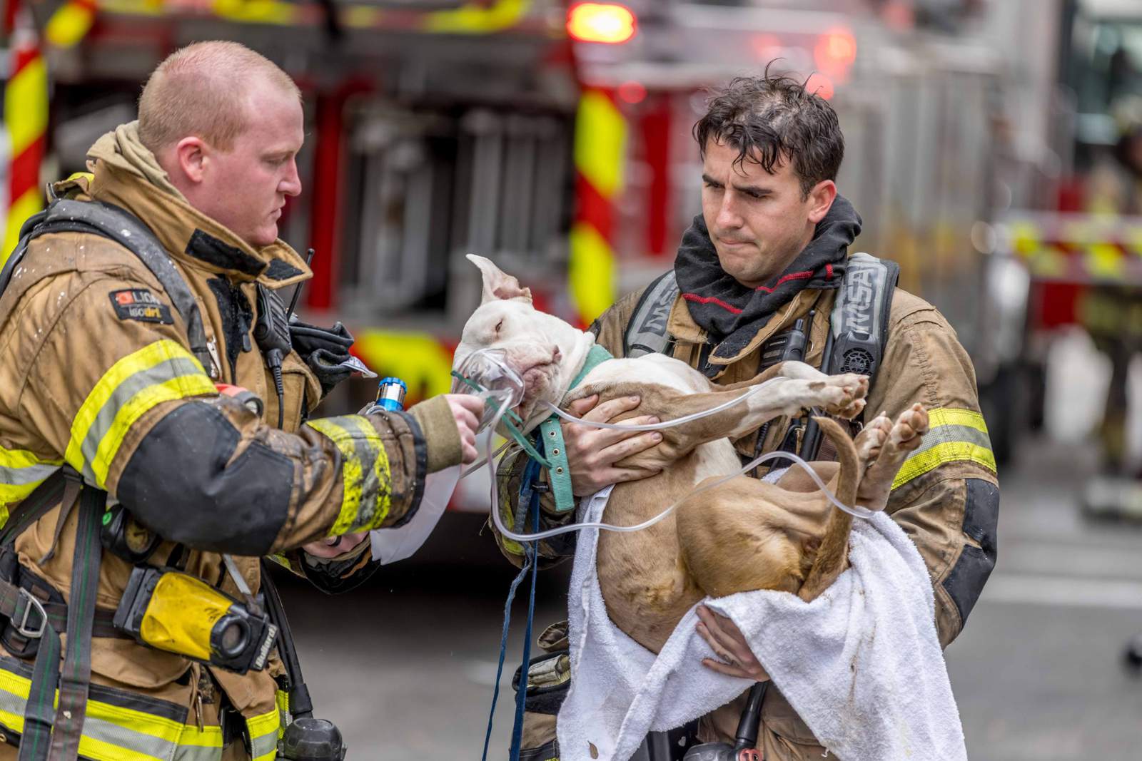 Fire prompts evacuation at Tapestry Park property off Southside Boulevard