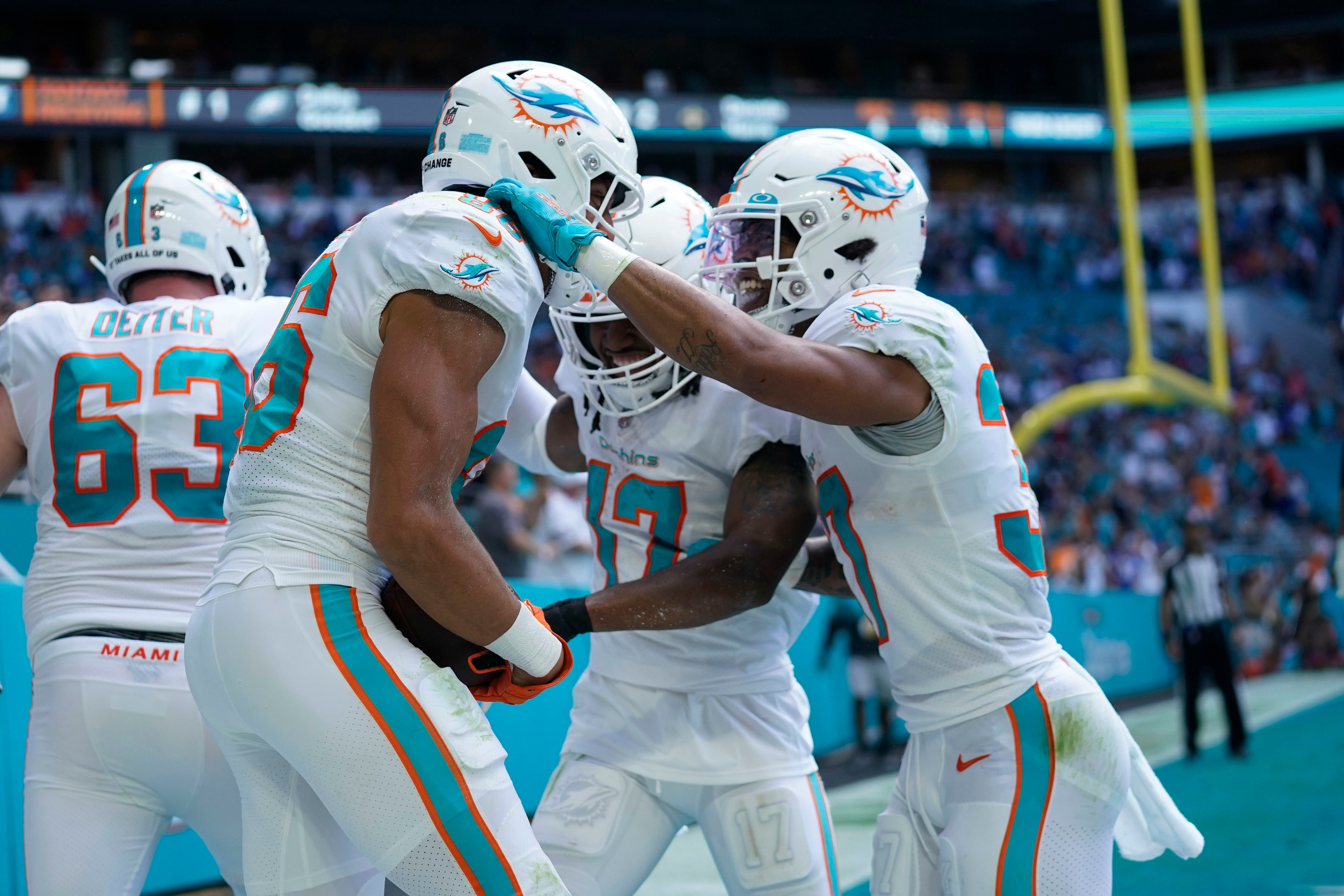 Miami Dolphin rookie Patrick Laird scores first NFL touchdown