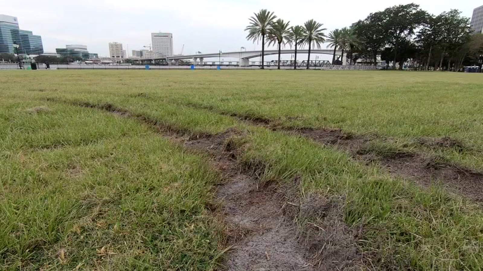 City digging in to who did doughnuts on Landing lawn